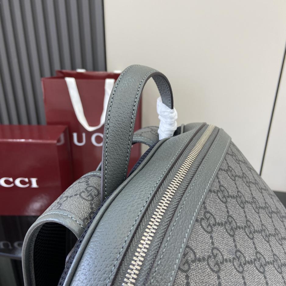Gucci BOphidia