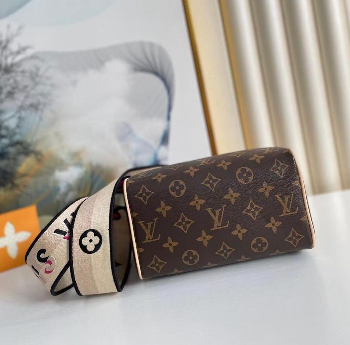 Louis Vuitton Speedy 30 in Tela Monogram
